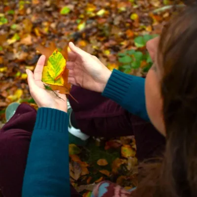 NIEUW – Workshop Botanische erotiek – 1 oktober – Mysterie aanbod